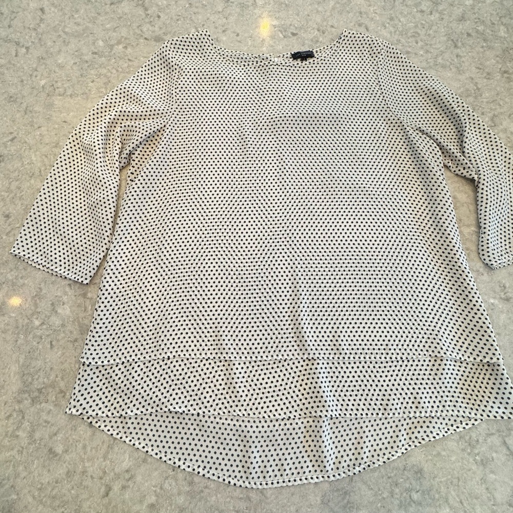 EUC The Limited Navy Dotted Blouse